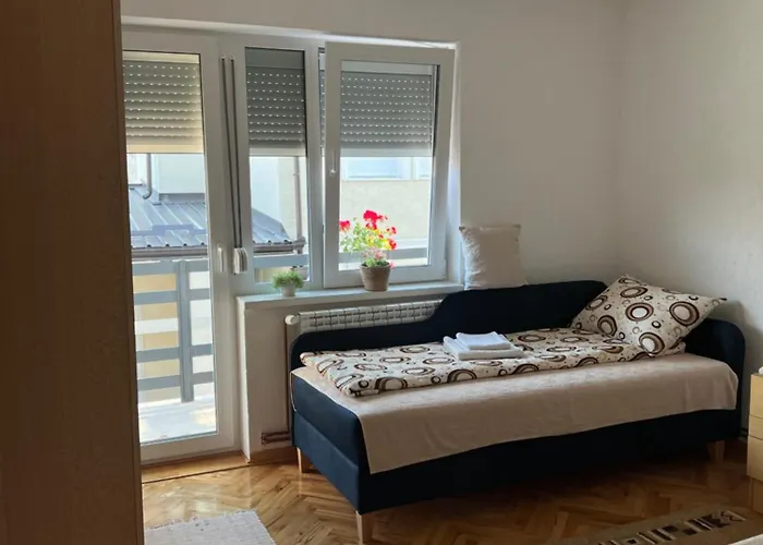 Home Nikolic